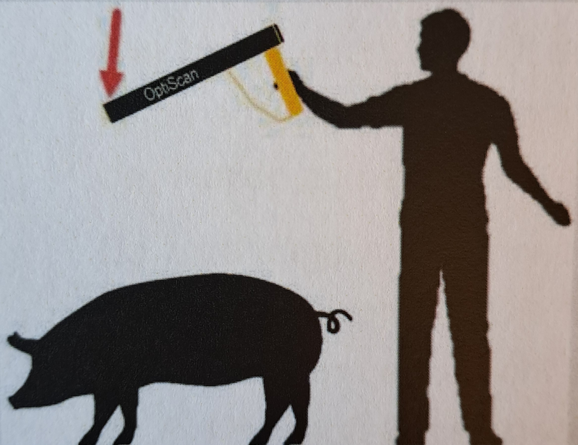 pb_schweinewiegen_optiscan_bild08.jpg